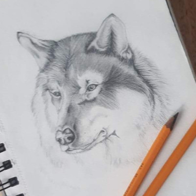 Emilia Labryszewska - 7